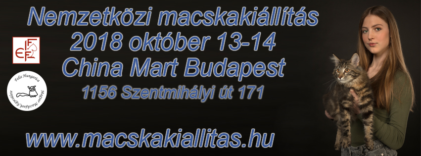 Nemzetközi macskakiállítás 2018 október 13-14 Budapest, China Mart