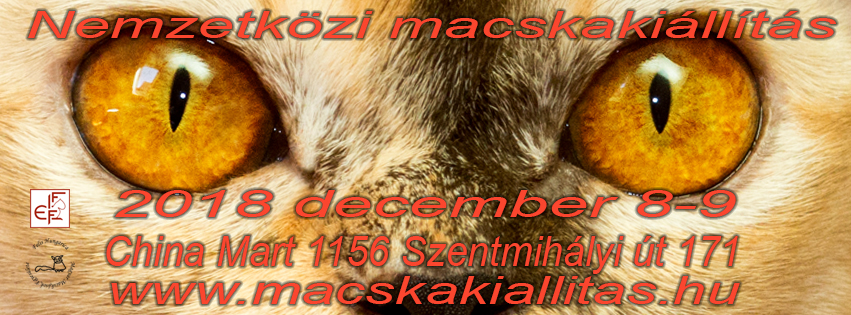 Felis Hungarica nemzetközi macskakiállítás 2018 december 8-9 Budapest, China Mart