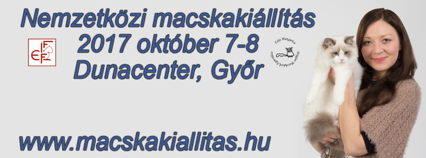 Nemzetközi macskakiállítás október 7-8 Győr, Dunacenter